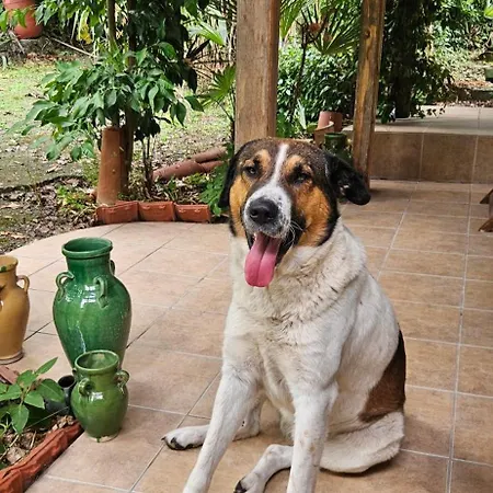 Home&gardens 2-bed In Sevasti