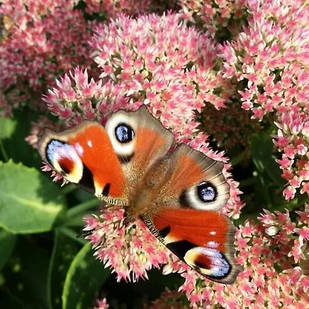 & Gardens 2-bed In Sevasti * Kateríni