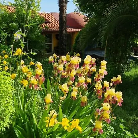 Villa & Gardens 2-bed In Sevasti Katerini