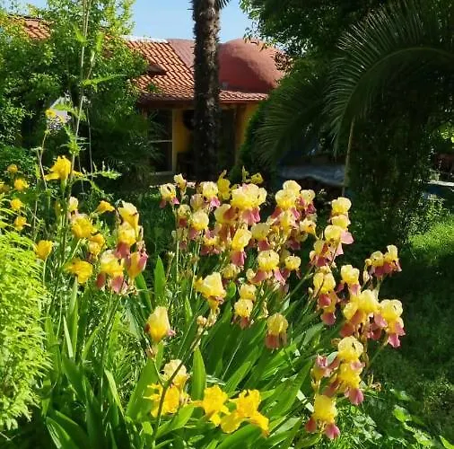 Villa & Gardens 2-bed In Sevasti Kateríni